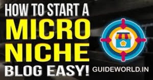 How to Start Micro Niche Blogging